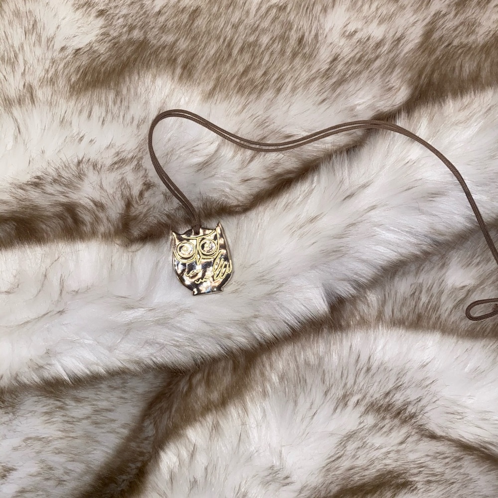 Adorable Owl Necklace on Rope